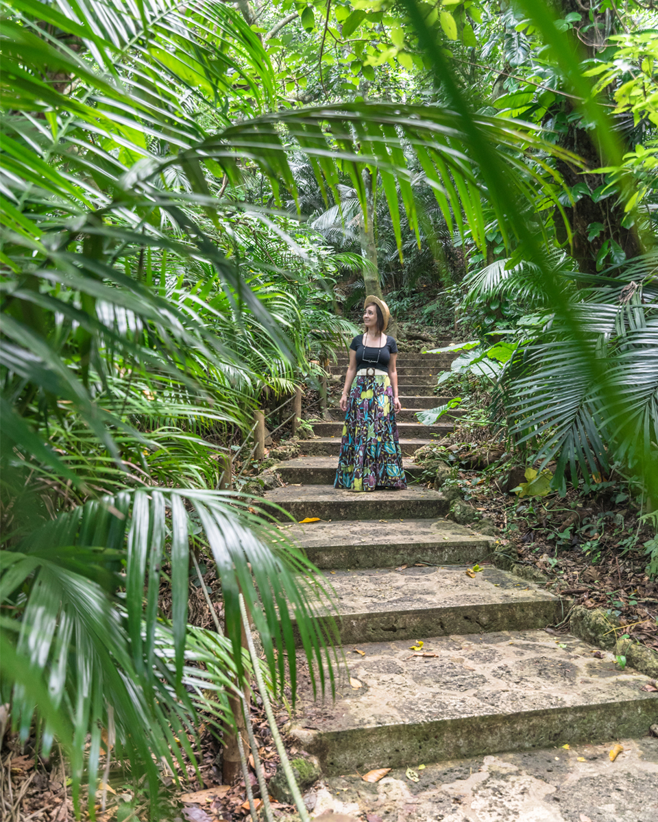 Yaeyama yashi de Yonehara - Hotel Mr.KINJO-Beach-Side-Kafu-shi, Ishigaki