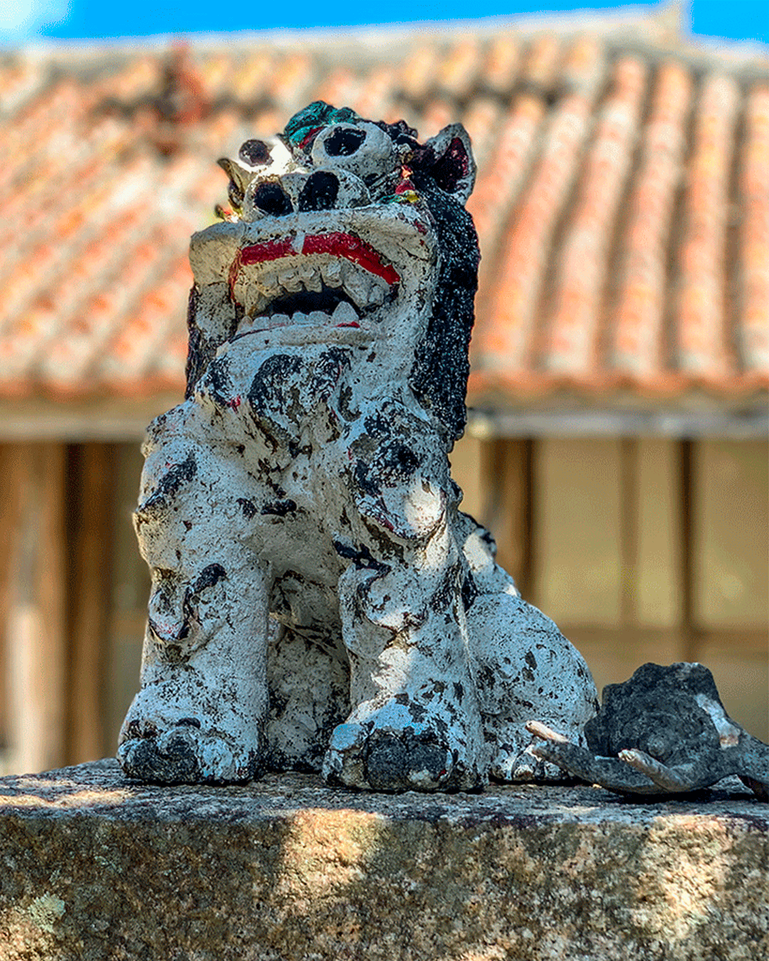 Ishigaki info - Hotel Mr.KINJO-Beach-Side-Kafu-shi, Ishigaki